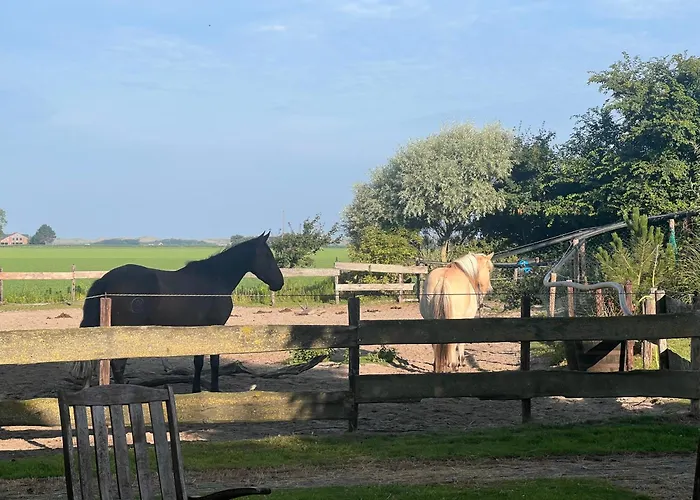 Route 54 Appartement